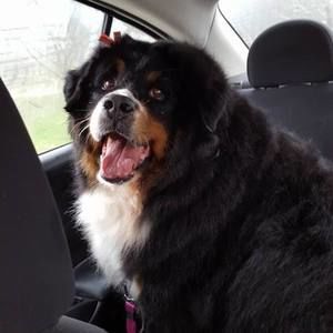 Meet your Posher, Luann